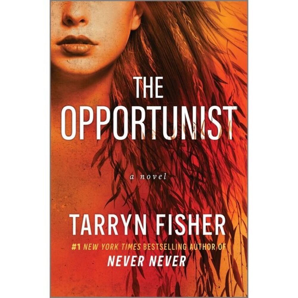 The Opportunist: An Unconventional, Second Chance Love Story -- Tarryn Fisher
